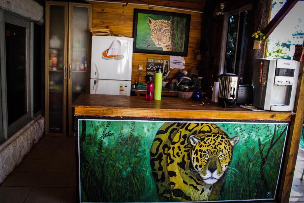 Hostel Krieger Hauss Puerto Iguazú Dış mekan fotoğraf