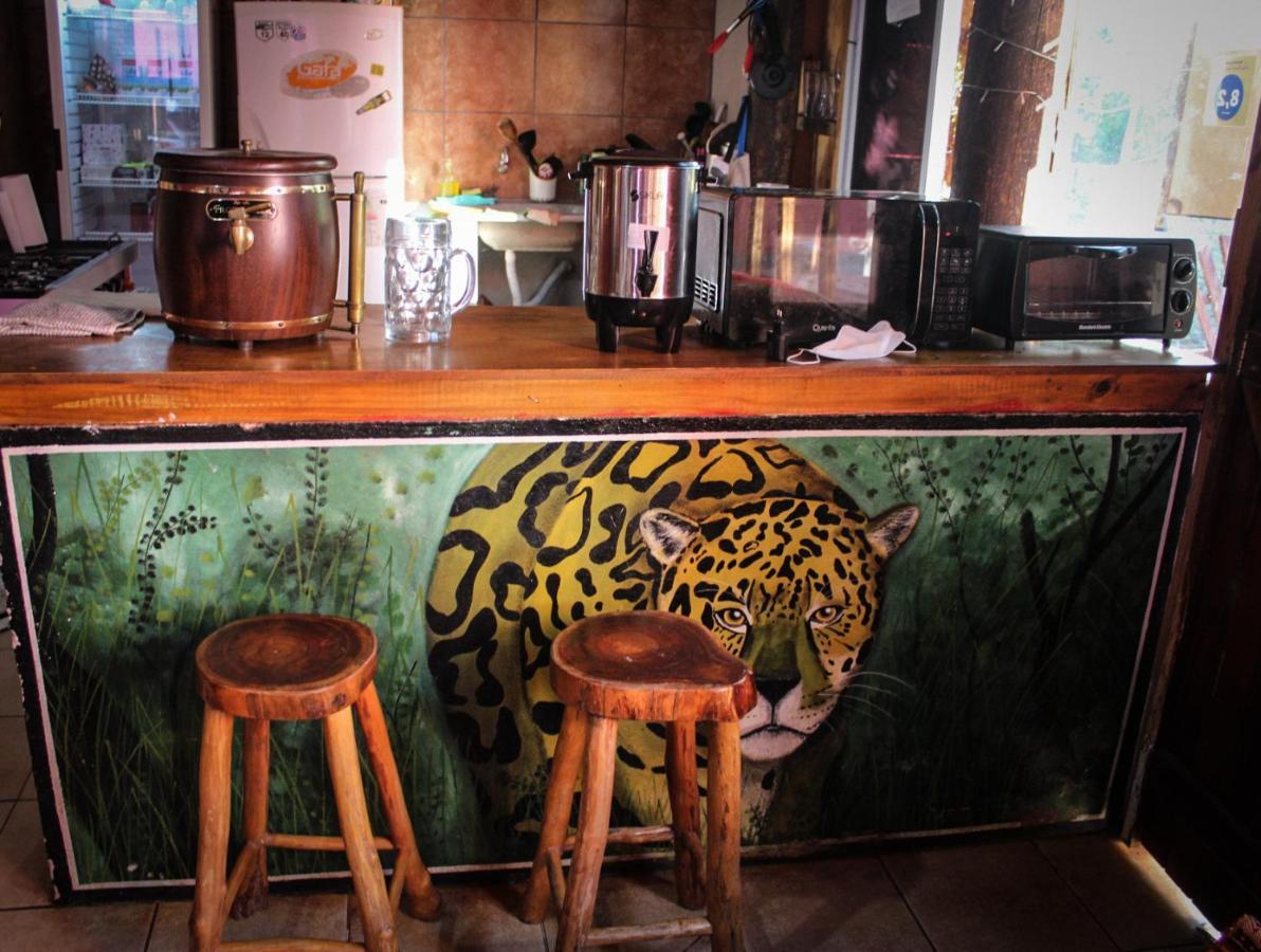 Hostel Krieger Hauss Puerto Iguazú Dış mekan fotoğraf